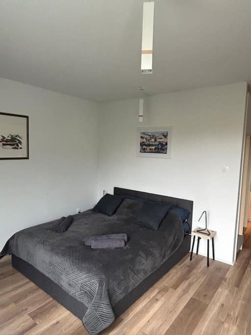 Apartament Stary Στσέτσιν Εξωτερικό φωτογραφία